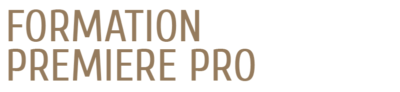 formation premiere pro Lyon Paris