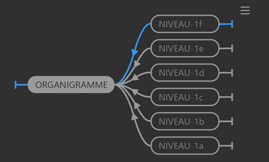 organigramme formation after effects Lyon Paris